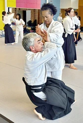  Réseaux sociaux Aïkido traditionnel EPA ISTA