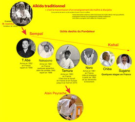   Aïkido traditionnel de maitres à élèves