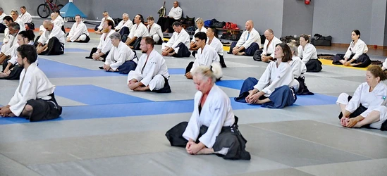  Taïkido l'art du ki ou du tchi dans la corps site taikido.net