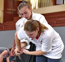 Aïkido traditionnel dojo de Montbazens