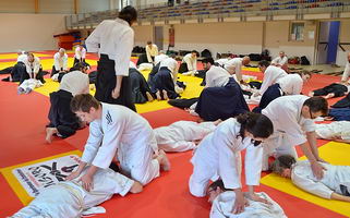 Aïkido Rivéro Alfred professeur du  dojo Grand Rodez Luc la Primaube